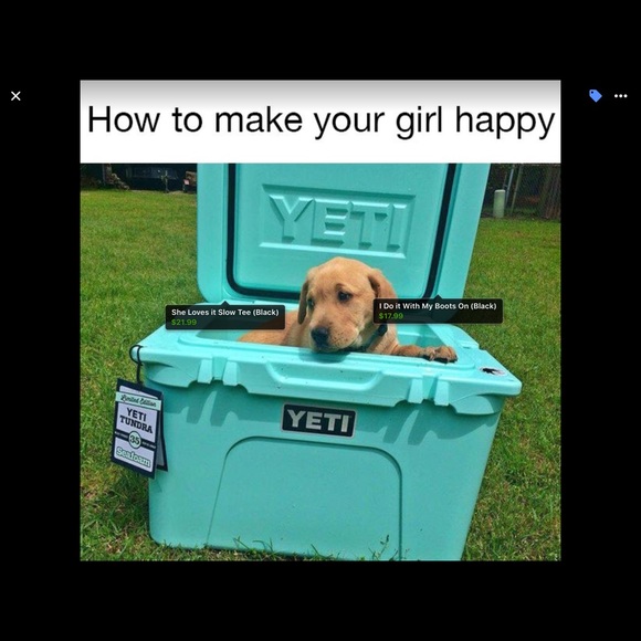 Meet your Posher, Shelley - Picture 1 of 1